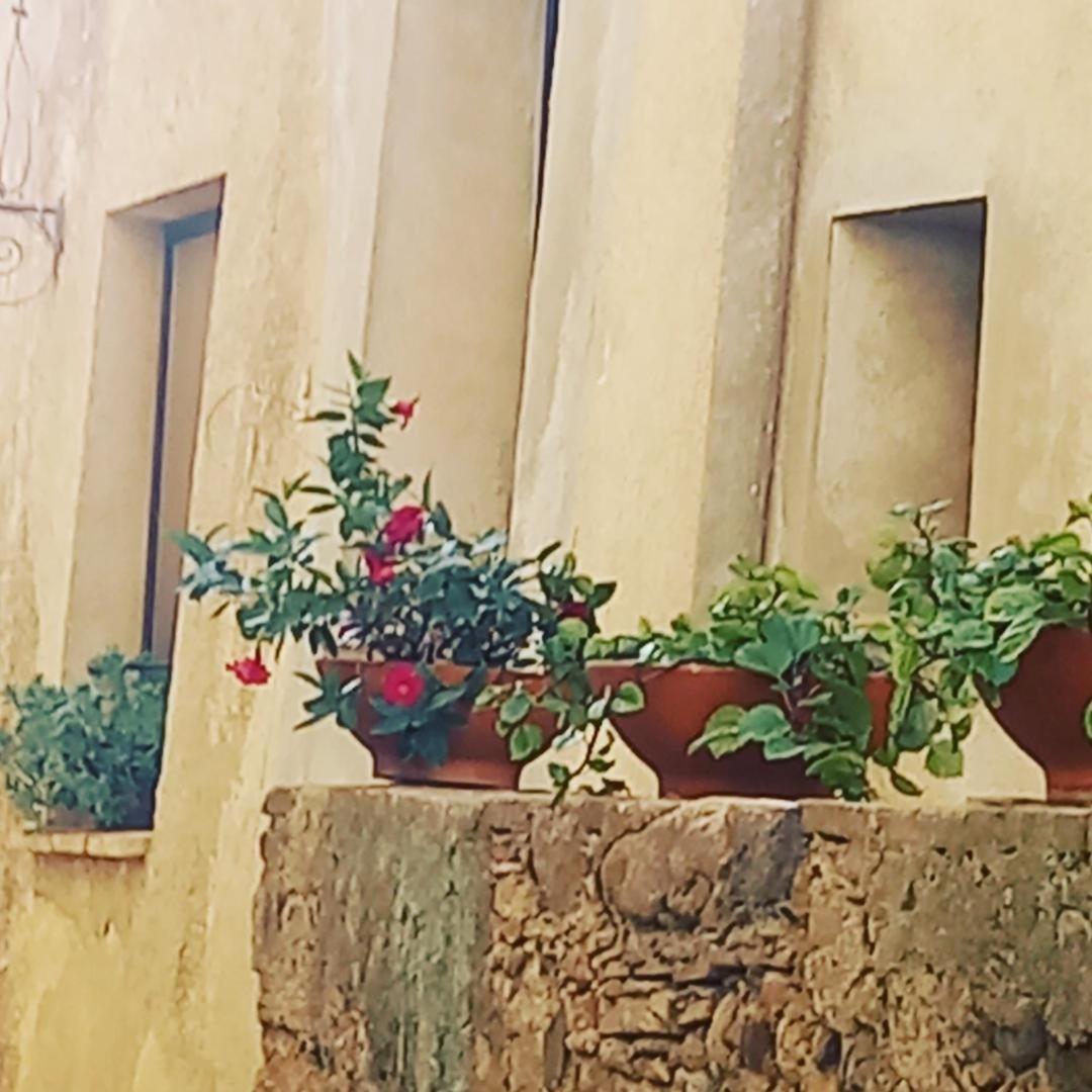 Apartamento La Costa Peralada Dış mekan fotoğraf